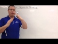 Properties of Lines in Geometry