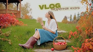 Как замедлиться в 2025? / деревенский slow vlog