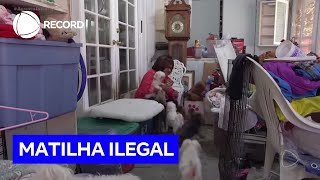 Acumuladores: casa com excesso de animais gera preocupação entre familiares