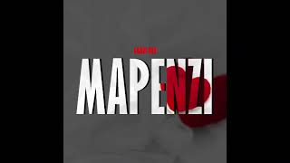 Mapenzi - Amber Lulu (Official audio)