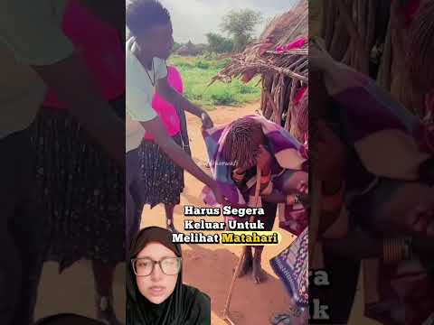 istri kepala suka setelah melahirkan #adat #budaya #tradisi