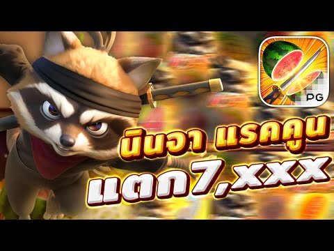 สล็อตแร็คคูนpg แรคคูนพีจี ninja raccoon frenzy เกมนินจาแร็คคูน แตกหนัก