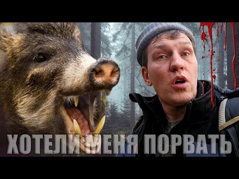 Они не пускали меня забрать мой клад! Но я прорвался!