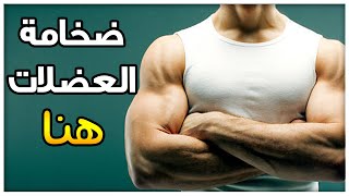 عضلات ضخمة؟ التكرارات ولا المجاميع؟
