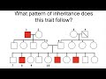 X-Linked Recessive Inheritance Patterns