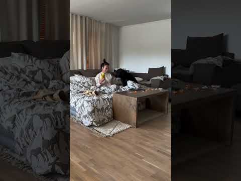 Owner built the best blanket fortress when dog got sick!! 🥺❤️ #dog #puppy #dogshorts