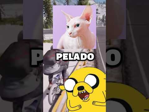 Trucos de vida poco eticos parte14 no los hagais en casa #lifehacks #ia #viral #humor @Gatodoraemon