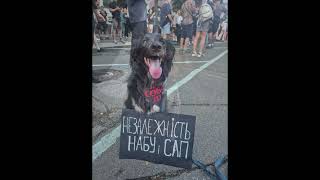 Четвертий день протестів у Києві: суспільство вимагає відновлення незалежності #набу  та #САП  #київ