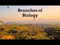 Branches of Biology and Their Focus