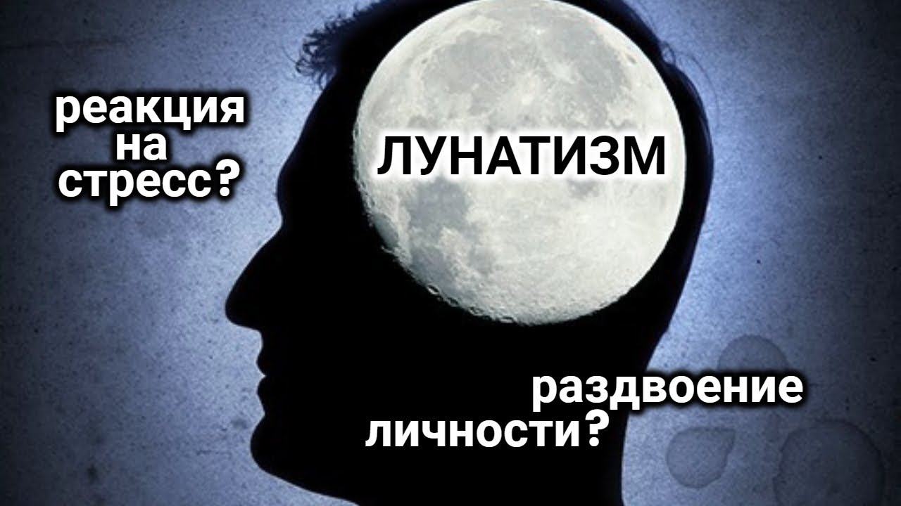 Лунатики. Тайная жизнь