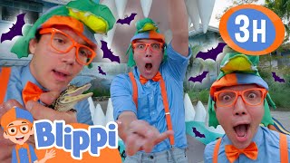Blippi's Alligator Trick or Treat Adventure!!👻🎃🦎 Blippi Halloween! | Blippi Educational Videos