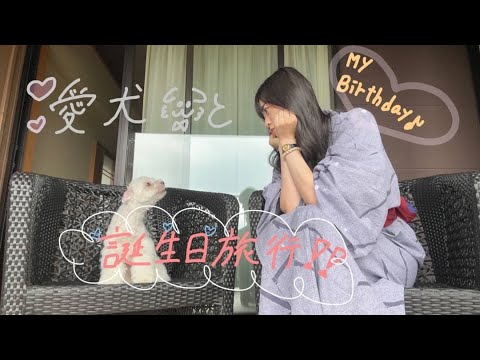 Birthday Special! ! ! Birthday Trip With My Dog🐶