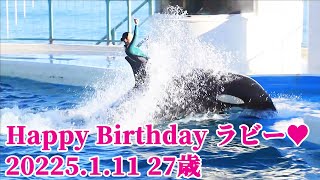 ラビー27歳お誕生日おめでとう!! 鴨川シーワールド シャチ kamogawaseaworld orca killerwhale