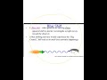 Exploring the Big Bang Theory Concepts