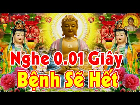 Nghe Kinh Phật Gia Trì Tiêu Tai Giải Nạn Tài Lộc Phước Đức Con Cháu 3 Đời, hết Bệnh hết Khổ