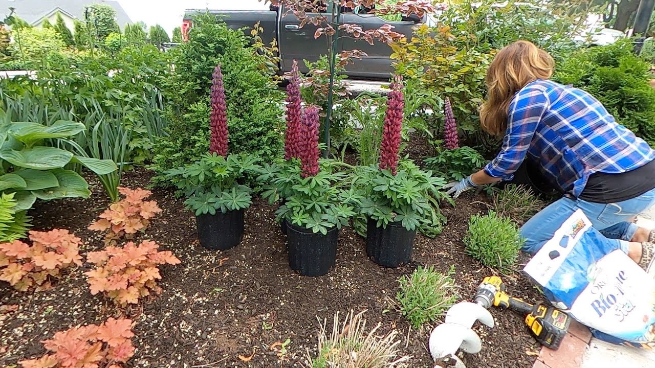 Planting A Bunch of Plants Throughout the Garden!