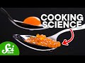 Culinary Techniques and Science