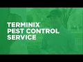 Year-Round Pest Control Strategies