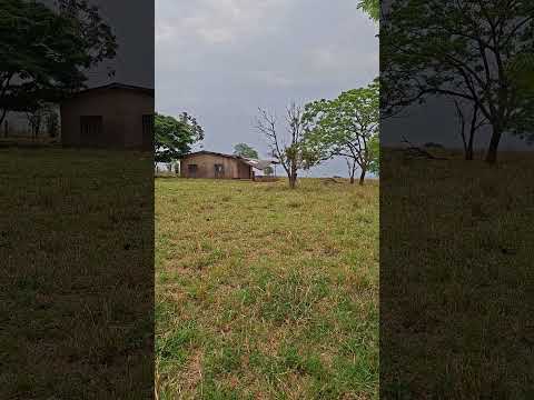 por isso ninguém quer mais #roça #sitio #deustemumapalavrapravoce