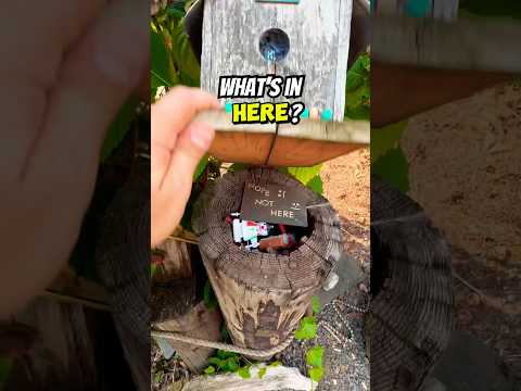 How many decoys can you spot before I find this Geocache? What an AMAZING and unique hide!