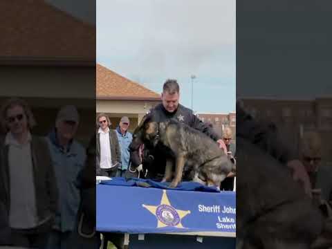 Mira el emotivo Adiós a Luca, el valiente perro K-9 ❤️🐾