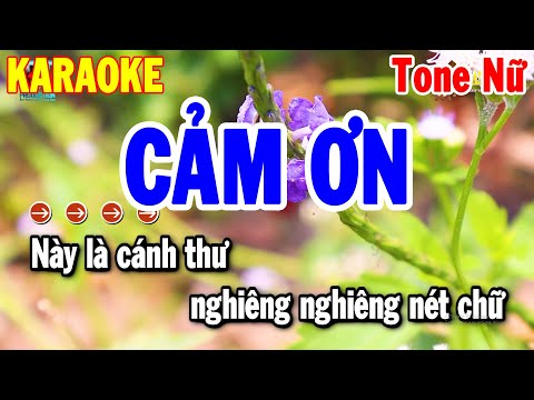 Karaoke Cảm Ơn Tone Nam Nhạc Sống Dễ Hát Nhất 2024 | Thanh Hải