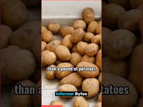 Top 10 Unseen Random Facts #part18 #ytshorts