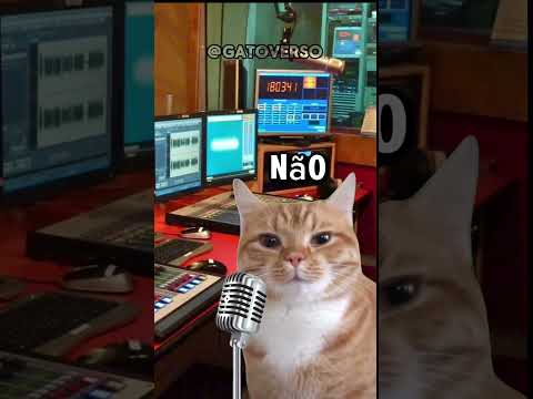 CONHECE ESSA MÚSICA?