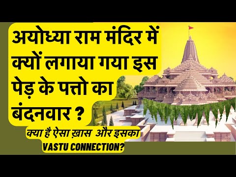 अयोध्या राम मंदिर में क्यों लगाया गया इस पेड़ के पत्तो का बंदनवार ? क्या है इसका  Vastu Connection?