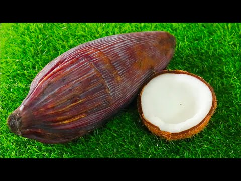 சுடச்சுட காலியாயிரும் வாழைப்பூ வாங்கி செஞ்சு குடுங்க - VALAIPOO RECIPE - BANANA FLOWER RECIPES