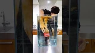 【検証】水中でメントスコーラするとどうなるの？