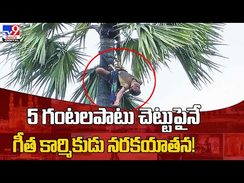 5 గంటలపాటు చెట్టుపైనే గీత కార్మికుడు నరకయాతన! @TV9TeluguDigital