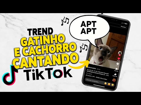 Como fazer VÍDEO DO SEU GATINHO/CACHORRO cantando música APT - TIKTOK TREND!