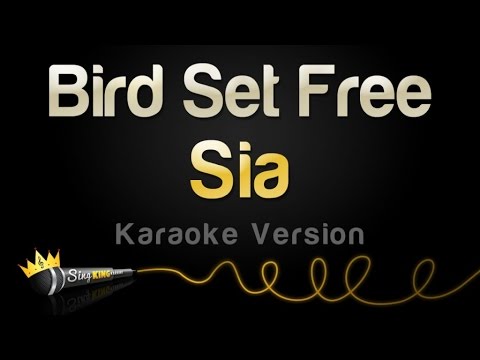 Sia – Bird Set Free (Karaoke Version)
