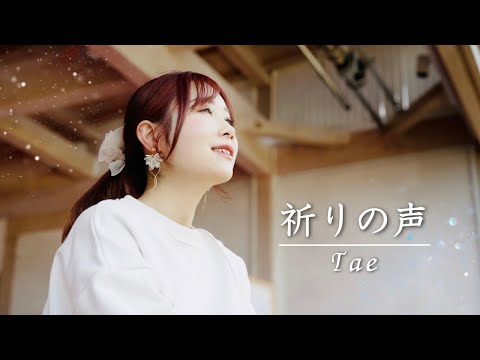 【MV】Tae/祈りの声