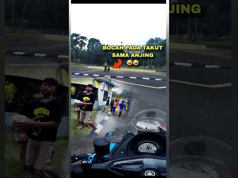 nyawa sama tulang2 nya bisa abis tuh sama anjing itu‼️#shorts
