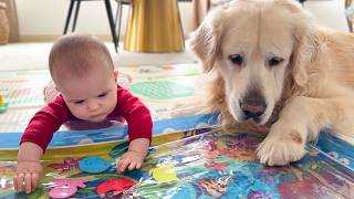 This Baby’s Reaction to Exploring with Her Golden Retriever Is Still Priceless
