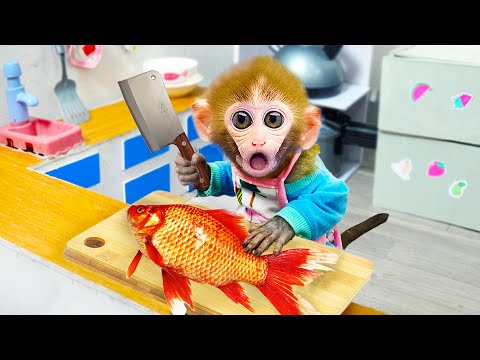 BiBi Chef cooks fish in the kitchen - Animals Home Monkey