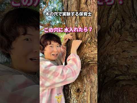 木の穴で実験する保育士【保育士あるある】 #shorts #保育士あるある