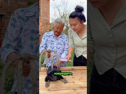 Бедный мальчик сделал деревянную расческу для щенка бабушки! 😱❤️🐶