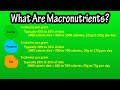 Understanding Macronutrients