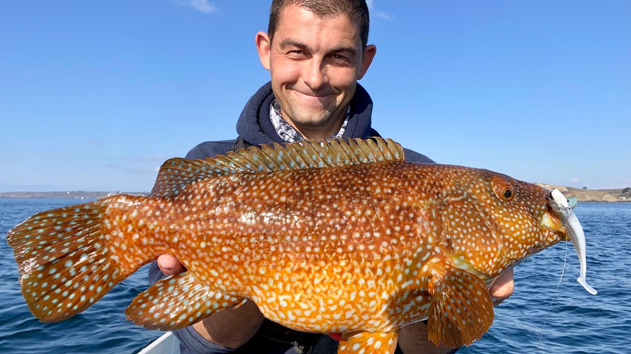 Monster PB Wrasse, Pollack and Plaice Fishing May 2021 - 200, 000 Subscriber Fishing Video! - The Fish Locker