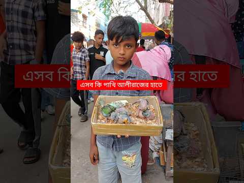 এসব কি পাখি আলীরাজের হাতে | মিরপুর-১ পাখির হাট | পাখি | টিয়া পাখি | পাখির হাট | Pakhi #shorts