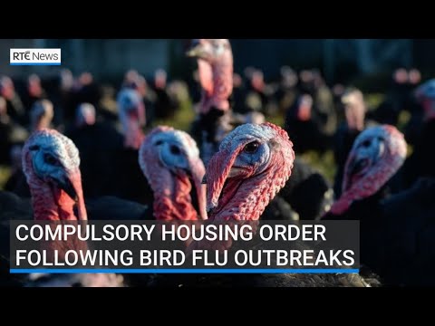 YouTube video thumbnail: Housing Order Imposed After Bird flu Outbreak in Carlow Turkey Flock