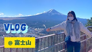 去看富士山🗻河口湖 商店街 新倉山浅間公園 自由行