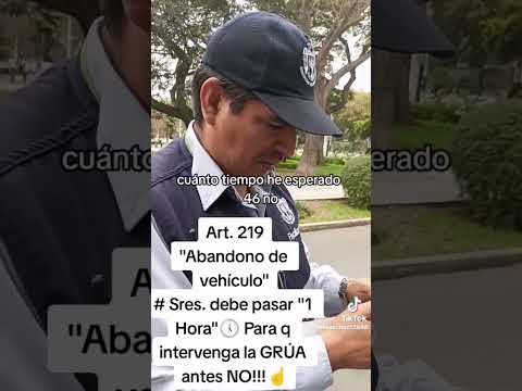 Abuso de las Municipalidades con el negocio de las grúas haciendo omisión al RNT infracción in Situ