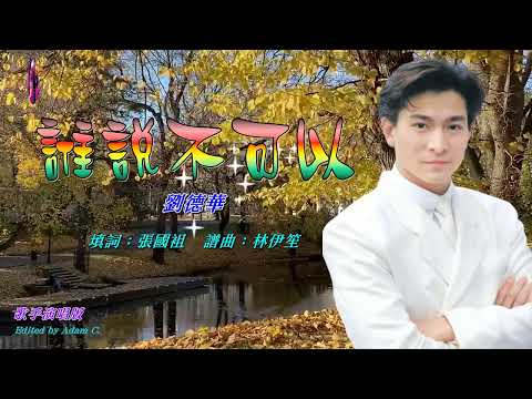 誰說不可以   劉德華 〈歌手演唱 HD版〉