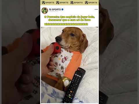 Porronto só quer lazer #memes