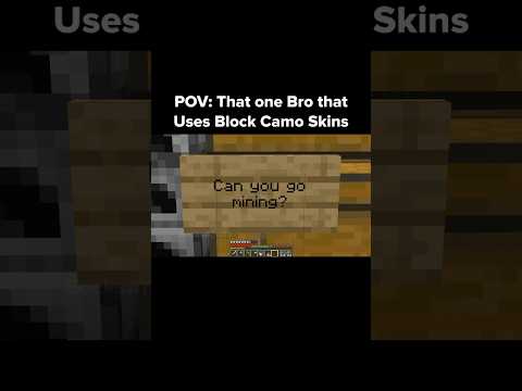 Minecraft Camo Moment