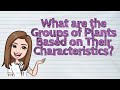 Plant Biology Concepts and Characteristics